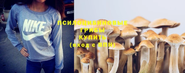хмурый Алзамай