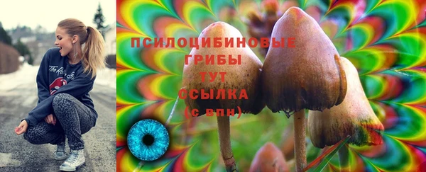хмурый Алзамай